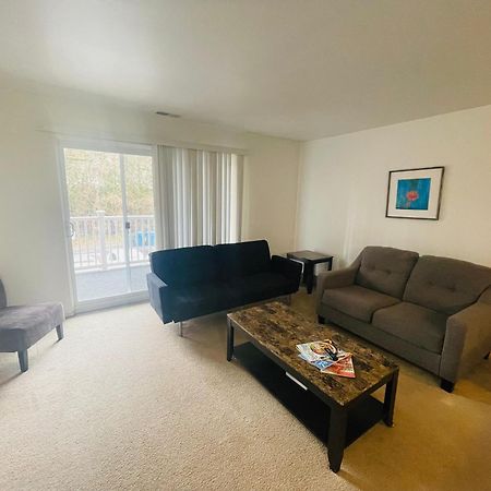 Large, Clean, Comfortable, 1Br Near Einstein Hos Elkins Park Bagian luar foto